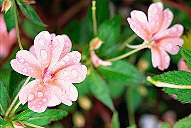 放置类休闲模拟游戏《温泉》即将发行 现已在Steam平台提供试玩Demo